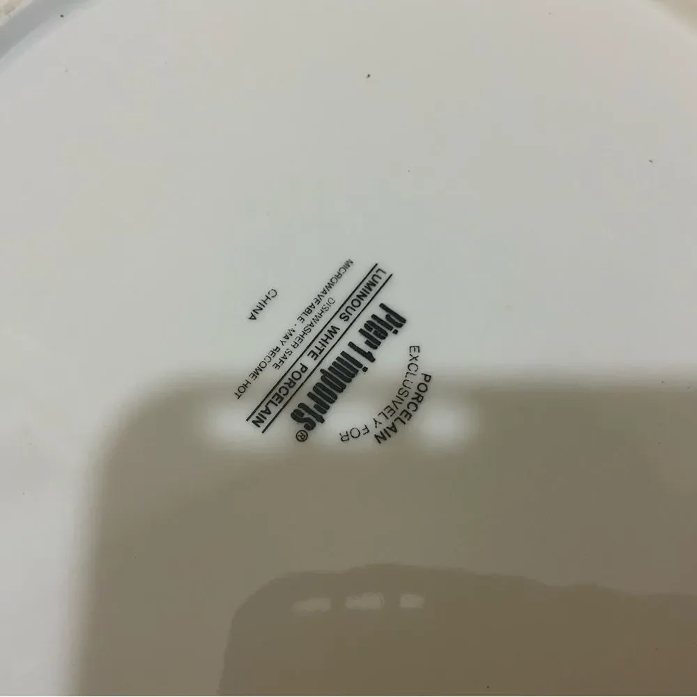 Pier 1 imports luminous White porcelain  dinner Plate 11” (Set of 5) G6